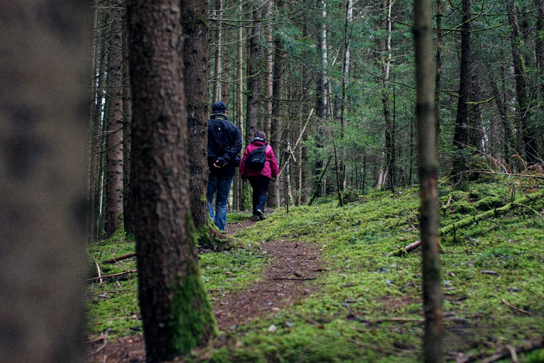Spaziergang in der Natur